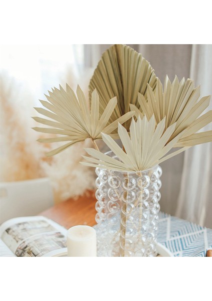 6 Adet Kurutulmuş Palmiye Yaprakları Doğal Kurutulmuş Palmiye Hayranları Kurutulmuş Çiçek Buketi Düğün Dekorları Kurutulmuş Fan Palmiye Yaprakları (Yurt Dışından) fırsatları