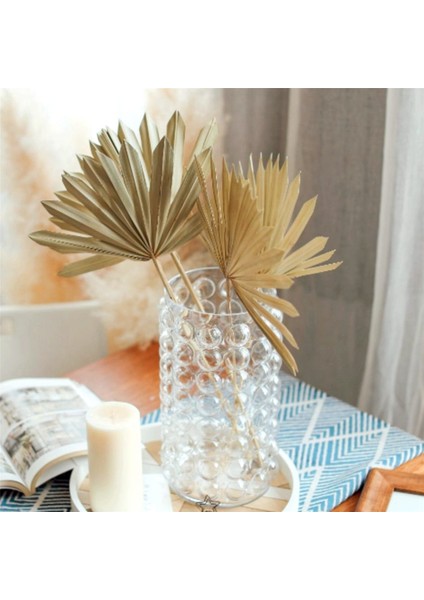 6 Adet Kurutulmuş Palmiye Yaprakları Doğal Kurutulmuş Palmiye Hayranları Kurutulmuş Çiçek Buketi Düğün Dekorları Kurutulmuş Fan Palmiye Yaprakları (Yurt Dışından) indirimleri