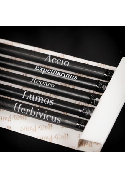 Lisanslı 5’li Harry Potter Silgili Kurşun Kalem Seti fiyatları