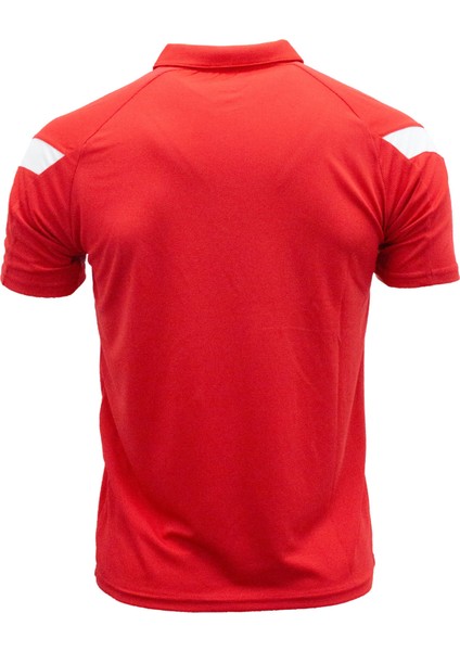 Erkek Polo T-Shirt Evo Pro 1018053 fiyatları