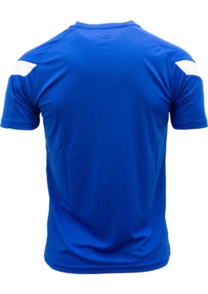 Erkek Antrenman T-Shirt Evo Pro 1018056 fiyatları