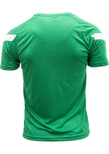 Erkek Antrenman T-Shirt Evo Pro 1018056
