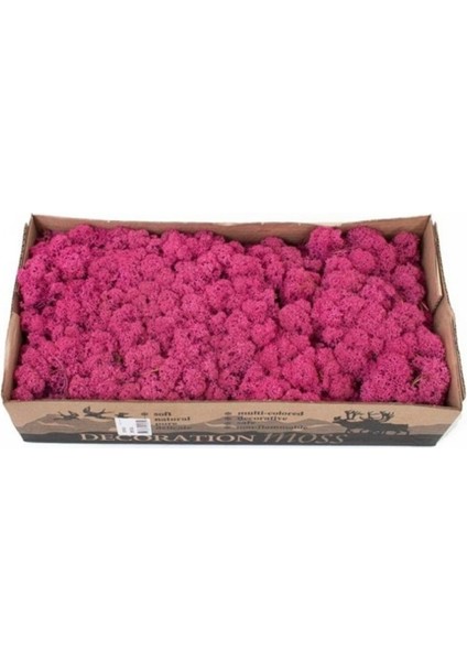 Renkli Yosun - Pembe