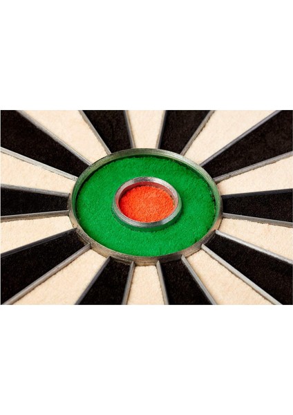 Blade 5 Dartboard Hedef Tahtası