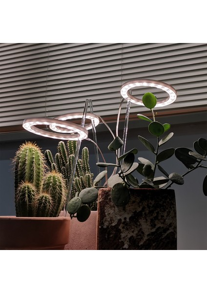 LED Büyümek Işık Tam Spektrum Phyto Büyümek Lamba Succulents Için USB Melek Halka Lamba, Çiçek Bitkileri Büyüme (Güneş Işığı) (Yurt Dışından) indirimleri