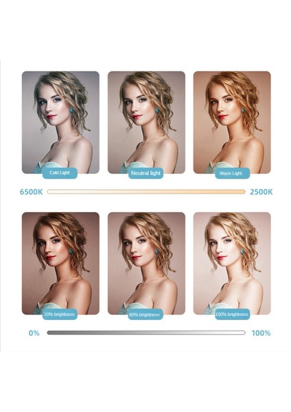 Dolgu Işığı Tip-C Bağlantı Noktası Video Konferans Ayarlanabilir LED Lamba Telefon Kamera Bilgisayar Canlı Yayın Fotoğrafçılığı Işık (Yurt Dışından) fırsatları