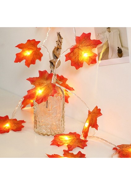 3 Metre 20LED Işıklı Çelenk, Dekor Dize Işıkları, Tatil Için Hediye Sonbahar Dekoru, Sıcak Beyaz (Yurt Dışından) fiyatları