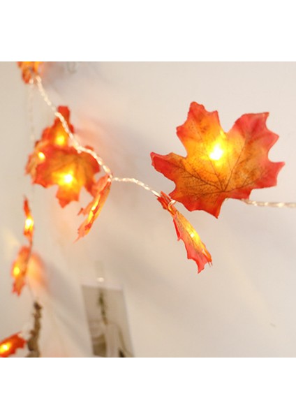 3 Metre 20LED Işıklı Çelenk, Dekor Dize Işıkları, Tatil Için Hediye Sonbahar Dekoru, Sıcak Beyaz (Yurt Dışından) modelleri