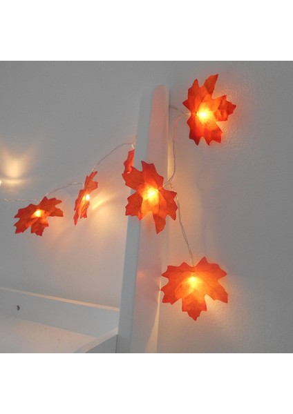 3 Metre 20LED Işıklı Çelenk, Dekor Dize Işıkları, Tatil Için Hediye Sonbahar Dekoru, Sıcak Beyaz (Yurt Dışından) fırsatları