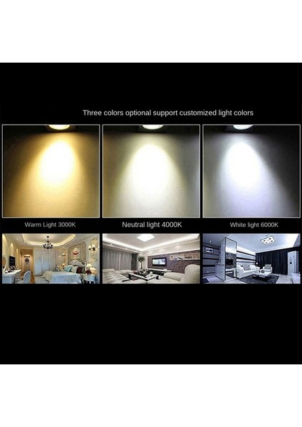 Çift Kafa Spot Işığı Kare Kalın Oturma Odası Ev 3000K Sıcak Işık, 7W Çift Kafa Açıklığı 200X100MM Siyah (Yurt Dışından) indirimleri