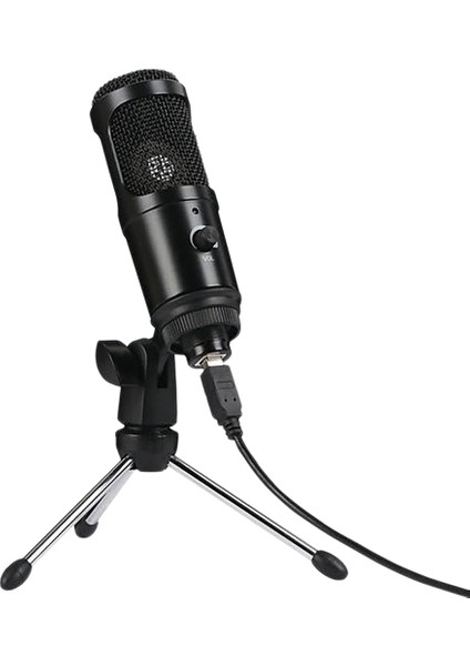 USB Kondenser Mikrofon 192KHZ/24BIT Yüksek Örnekleme Hızı Masaüstü Standı Bilgisayar Kayıt Kondenser Mikrofon Seti (Yurt Dışından)