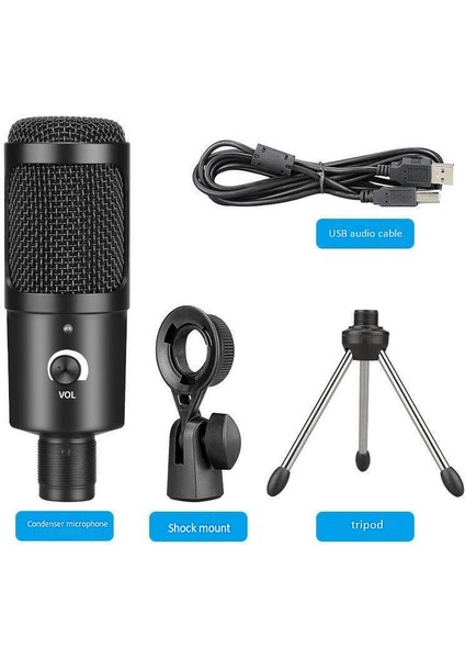 USB Kondenser Mikrofon 192KHZ/24BIT Yüksek Örnekleme Hızı Masaüstü Standı Bilgisayar Kayıt Kondenser Mikrofon Seti (Yurt Dışından)