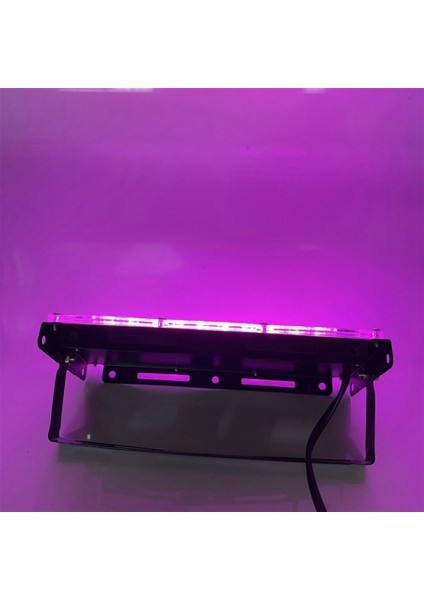 Tam Spektrumlu LED Büyümek Işık Phytolamp Bitkiler Için Çadır Çiçek Tohumlama 50 W Aralığı Lamba Açık Projektör Abd Plug (Yurt Dışından) modelleri