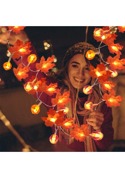 Cadılar Bayramı Süslemeleri Sving Dekor Kabak Dekorasyonu Cadılar Bayramı Işıkları, 40 LED Işıklı Çelenk Çelenk (Yurt Dışından) modelleri