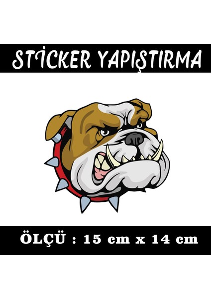 Saldırgn Bulldog Köpek Sticker - 2 Adet Araba Motosiklet Atv Dolap Cam Uyumlu Yapıştırma Etiket