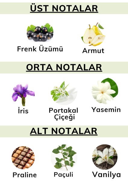 Love 50 Ml Edp Kadın Parfüm 8681529301629 modelleri