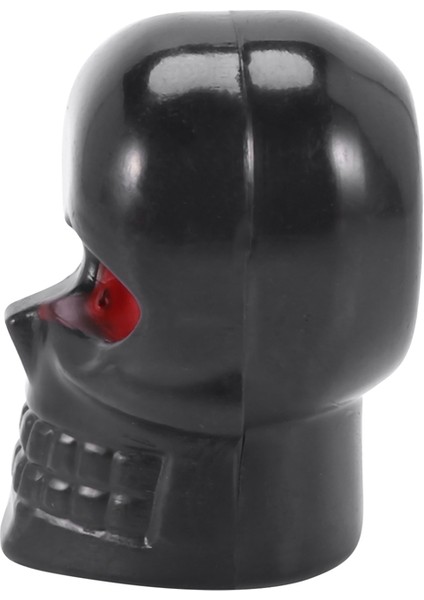 Icqurbt 1 Çift Motosiklet Kafatası Plaka Çerçevesi Vidaları Montaj Vidası Siyah (Yurt Dışından) fırsatları