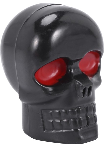 Icqurbt 1 Çift Motosiklet Kafatası Plaka Çerçevesi Vidaları Montaj Vidası Siyah (Yurt Dışından) indirimleri