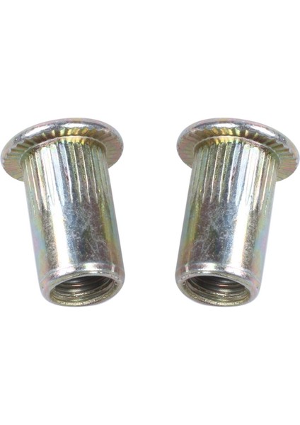 Flyeer 40 Adet Düz Kafa Metrik Çelik M5 Kör Uçlu Perçin Somunu (Yurt Dışından) fırsatları