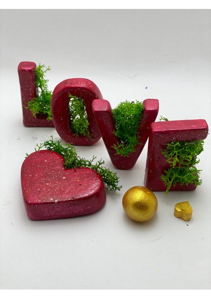 Love Set - Moss Bitkisi ile Süslü - Hediyelik Kutusunda