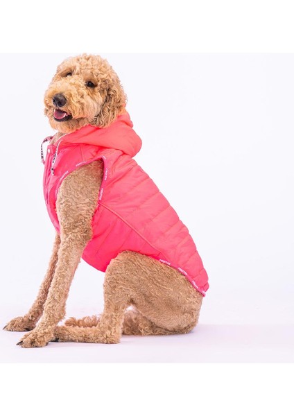 Railway Neon Fuşya Su Itici Orta-Büyük Irk Köpek Yelek Yağmurluk