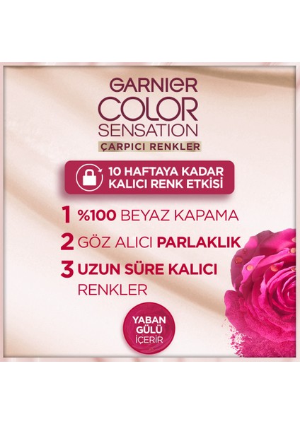 Çarpıcı Renkler 7.0 Bal Kumral