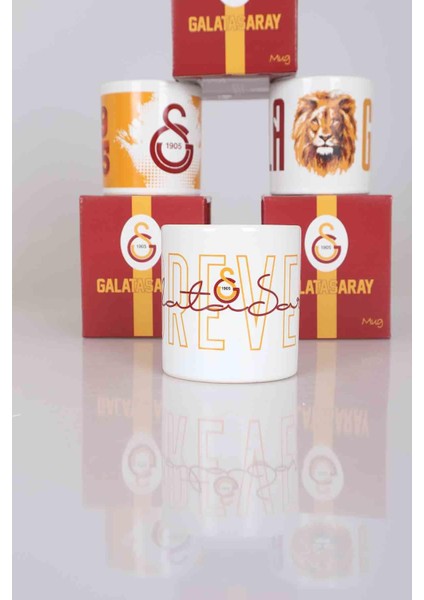 YENİ SEZON TEKLİ LİSANSLI GALATASARAY KUPA modelleri