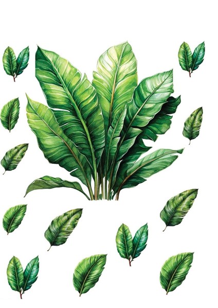 Myhobby Sulu Transfer Sml-81 25X35 cm