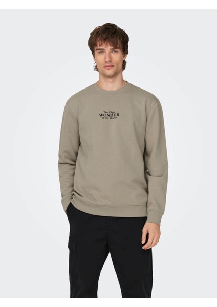 Erkek Sweatshirt Açık Haki 22027894 Onscelebrıty Reg Crew Neck