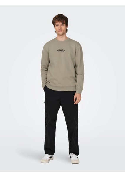 Erkek Sweatshirt Açık Haki 22027894 Onscelebrıty Reg Crew Neck