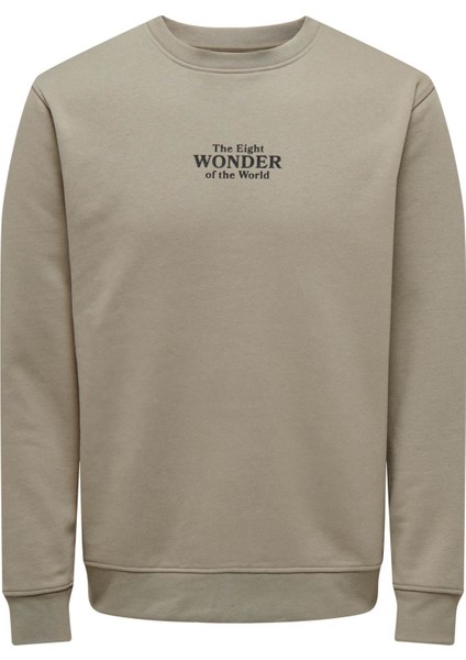 Only & Sons Erkek Sweatshirt Açık Haki 22027894  Onscelebrıty Reg Crew Neck