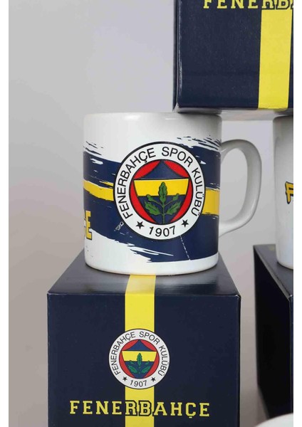 YENİ SEZON LİSANSLI TEKLİ FENERBAHÇE KUPA modelleri