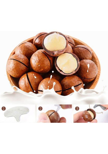 Kabuk Açıcı 2 Adet Cokytoop 1-4 Adet/takım Mini Fındık Kraker Paslanmaz Çelik Macadamia Ceviz Açacağı Taşınabilir Kamp Mutfak Aksesuarları Somun Araçları (Yurt Dışından)