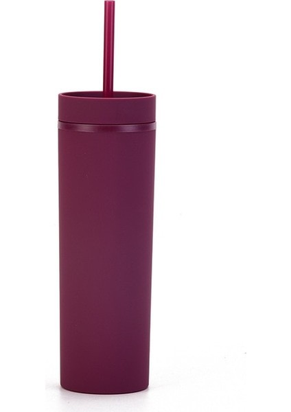 Z 16 Oz Sıcak Satış 16 Oz Akrilik Ince Sıska Tumbler Renkli Mat Su Kapaklı Şişe Saman Çift Duvar Yeni Yıl Partisi Hediyeleri Için (Yurt Dışından)