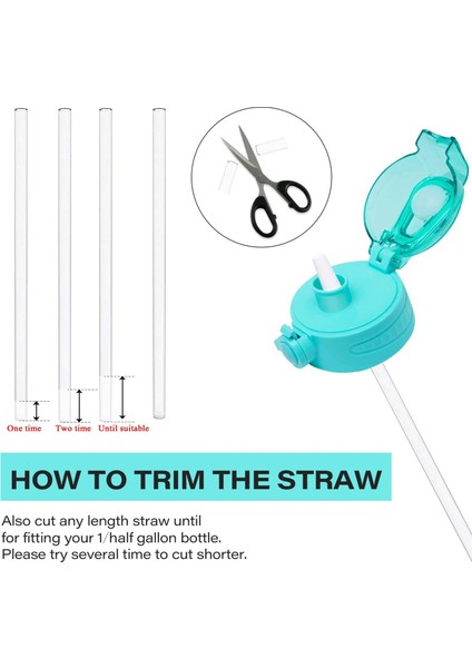 Hidro Sürahi Saman Pipetleri Yarım Galon Su Şişeleri Için Yedek Yedek Pipet Ekstra Uzun Pipetler Fit 128OZ 64OZ 1/yarım (Yurt Dışından)