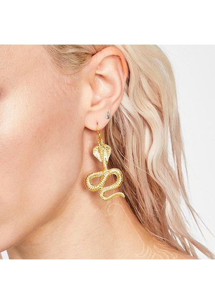 9 Pairs Yılan Küpe Hoop Küpe Seti Punk Rhinestone Yılan Damla Dangle Saplama Küpe Minimalist Kristal Uzun Yılan Küpe Kadınlar Için Genç Kız Takısı Hediye, Altın (Yurt Dışından)