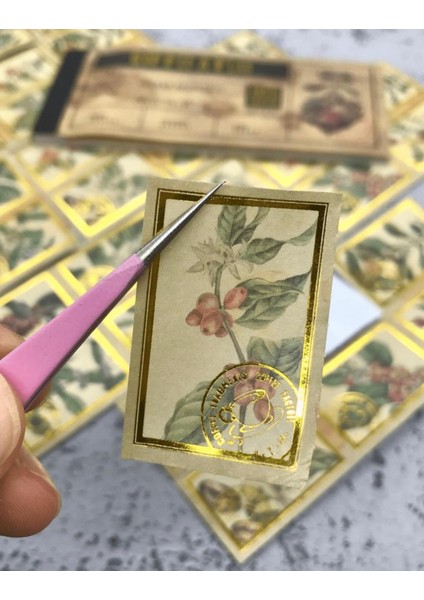 Altın Yaldızlı Kahve Çiçek ve Çekirdekleri Defter Sticker çıkartma Bullet Journal Scrapbook modelleri