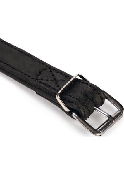 Köpek Tasması fiyatları