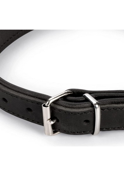 Köpek Tasması modelleri