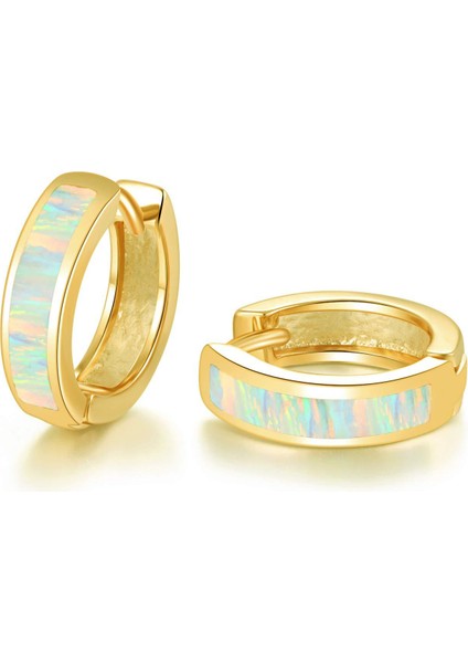 Opal Menteşeli Halka Küpe Altın Kaplama Hipoalerjenik Küçük Halka Küpe Kadın Kız Erkek --- Sarı Altın (Yurt Dışından)