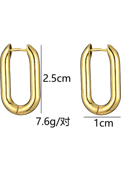 Kadınlar Için Oval Halka Küpeler - Küçük U-Şekilli Yuvarlak Dikdörtgen Geometrik Kıkırdak Manşet Halka Küpeler Kadınlar Kızlar Için Moda Takı Hediyeler (Yurt Dışından) fırsatları