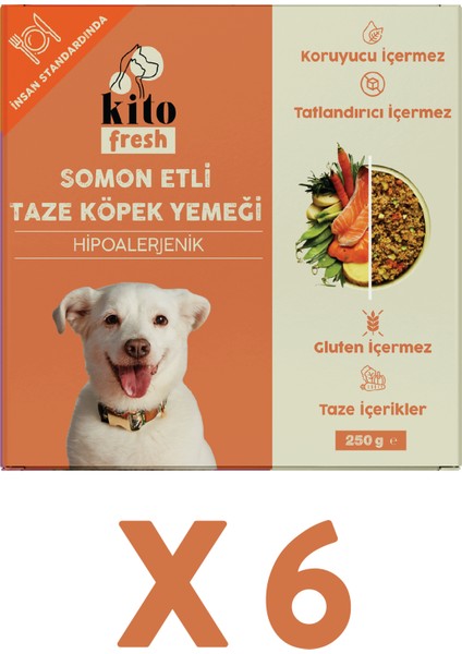 Fresh Somon Etli x 6 (1,5 Kg) - Tüm Köpek Irkları için Uygundur
