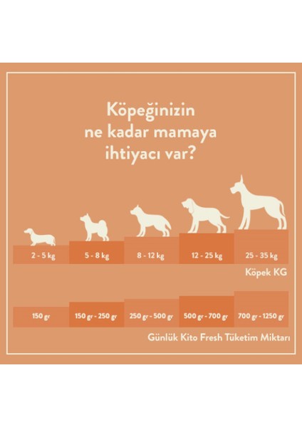 Fresh Somon Etli x 6 (1,5 Kg) - Tüm Köpek Irkları için Uygundur indirimleri