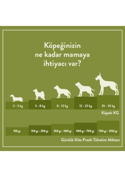 Fresh Tavuk Etli x 6 (1,5 Kg)