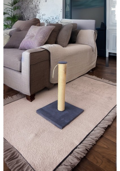 Kedi Tırmalaması - 42 cm fiyatları
