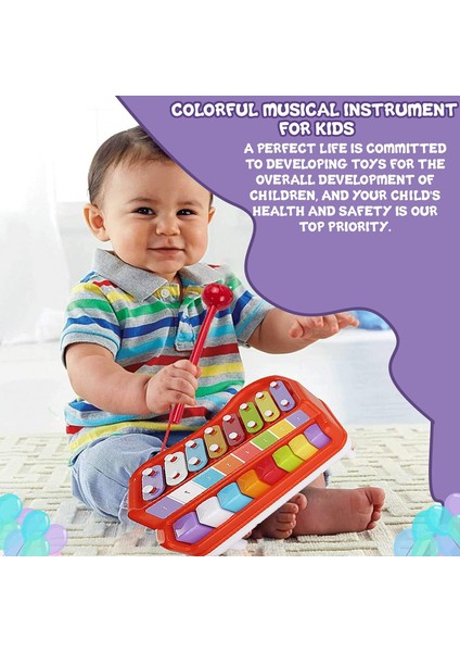 Yeni Yürümeye Başlayan Çocuklar Için 2'si 1 Arada Bebek Piyano Ksilofon, Bebek Piyano Oyuncak Müzik Aletleri, Tokmak Müzikli Net ve Net Tonlarda 8 Çok Renkli Tuş Skalası (Yurt Dışından)