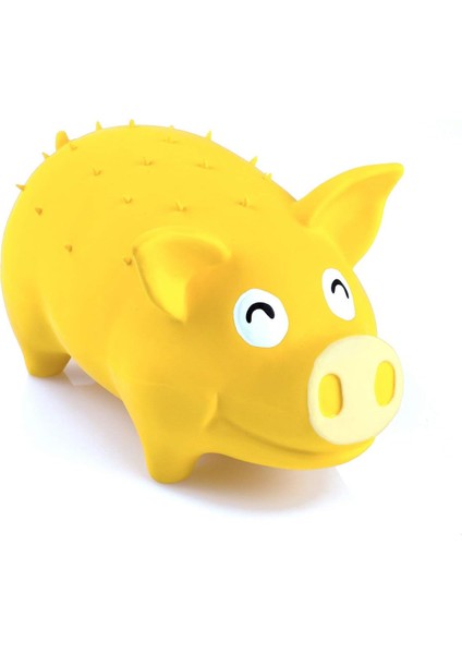 Küçük, Orta ve Büyük Köpeklerle Etkileşimli Oyun Için Uygun Gıcırtılı Lateks Kauçuk Köpek Oyuncağı, Ürün Boyutu: 20*8.5*6.5cm/7.8*3.3*2.5 Inç (Yurt Dışından) modelleri