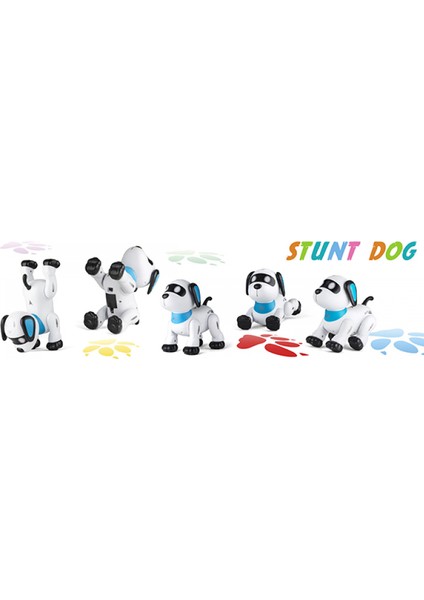 Çocuklar Için Robot Köpek Programlanabilir Köpek Yavrusu Robotik Oyuncaklar 3, 4, 5, 6, 7, 8, 9, 10 Yaşındaki Erkek ve Kız Çocukları Için Elektronik Evcil Hayvanlar (Yurt Dışından)