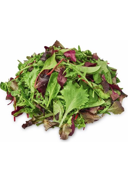 Fransız Mesclun Salata Tohum Karışımı