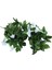 Yapay Morning Glory Asma Asılı Duvar Tesisi Garland Bahçe Duvar Çiti, Beyaz ve Yeşil (Yurt Dışından) 2
